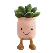 Load image into Gallery viewer, * Succulent Plant
