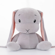 Load image into Gallery viewer, * Bunny Stuffed Toy
