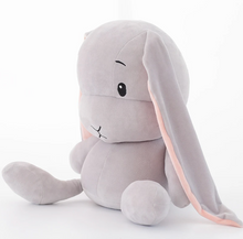 Load image into Gallery viewer, * Bunny Stuffed Toy
